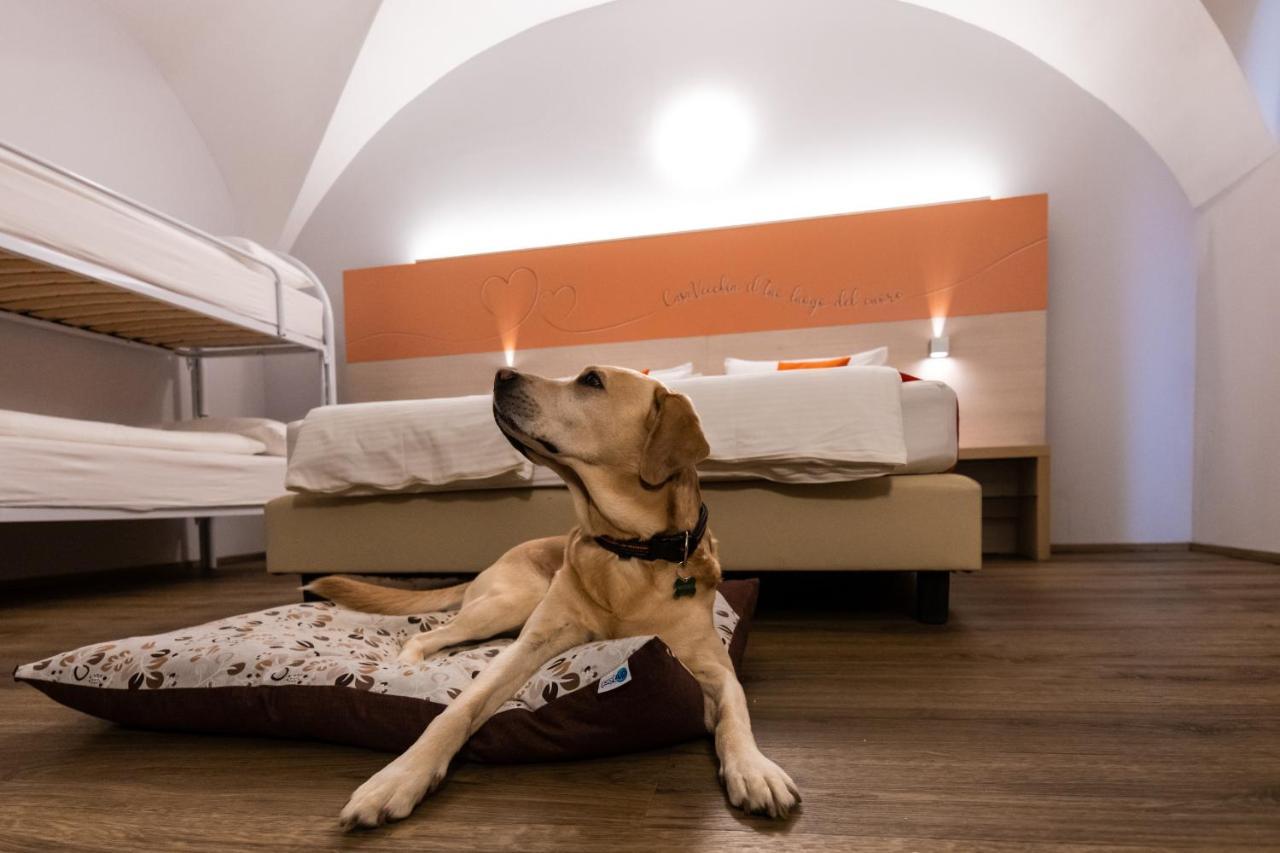 Albergo Casavecchia Tiarno di Sopra エクステリア 写真